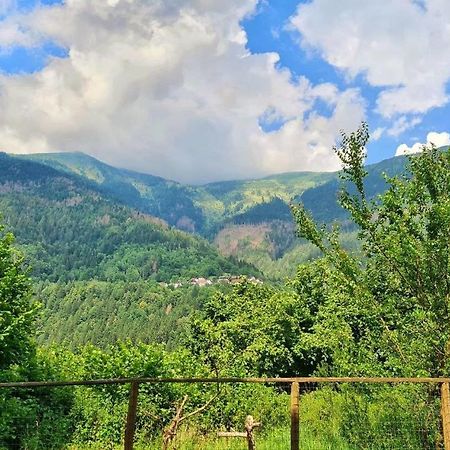 Appartamento Jever House Rigolato Екстер'єр фото